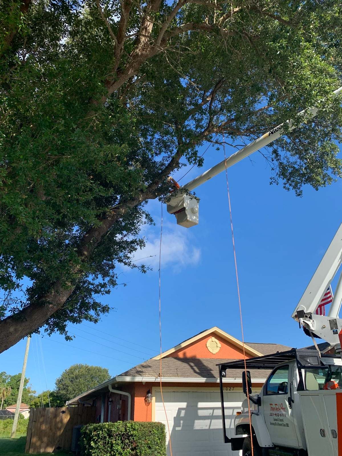 Bucket truck reaching a tree canopy above a road