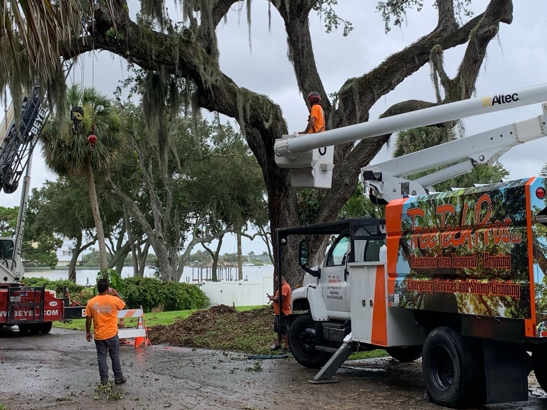 Tree Tech Pros branded truck on a hazardous removal job near the water