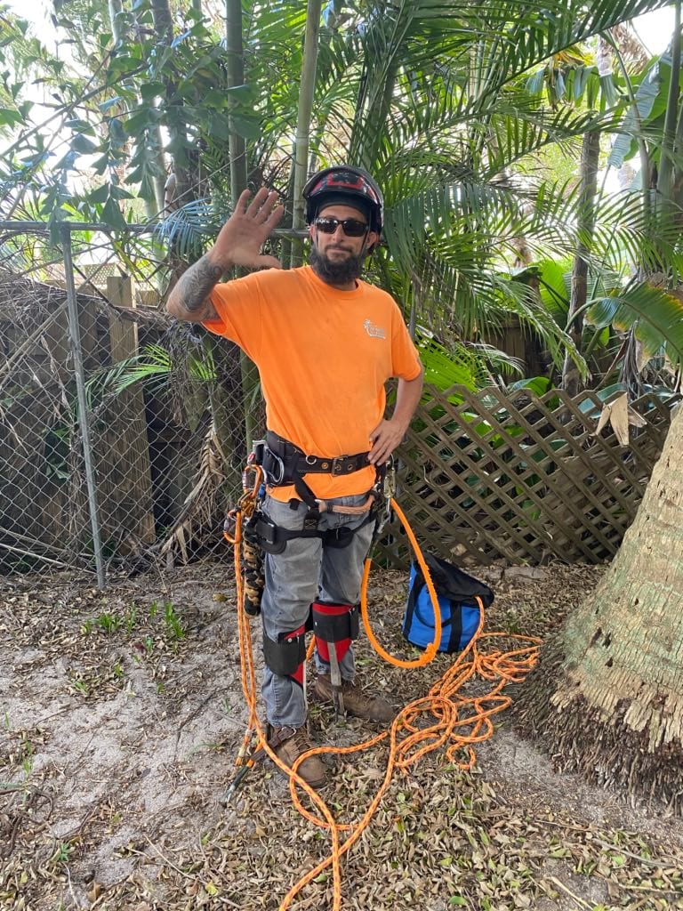 Climber harnessed in the canopy giving a wave