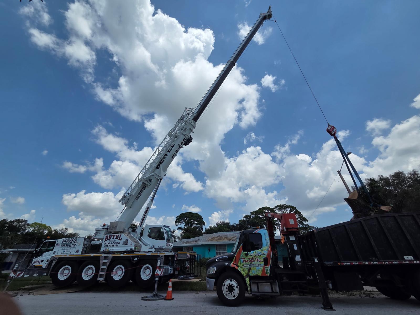 Crane lifting a cut tree section into a dump truck on a residential street