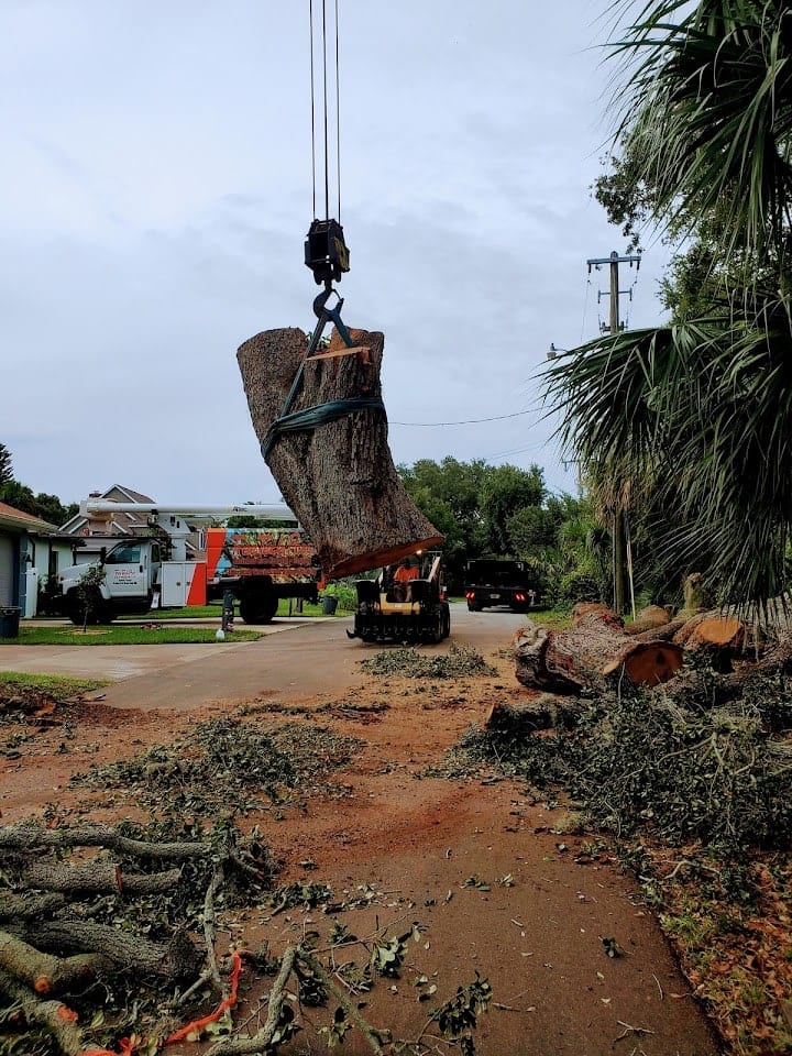 Crane lifting a large cut section off a residential street