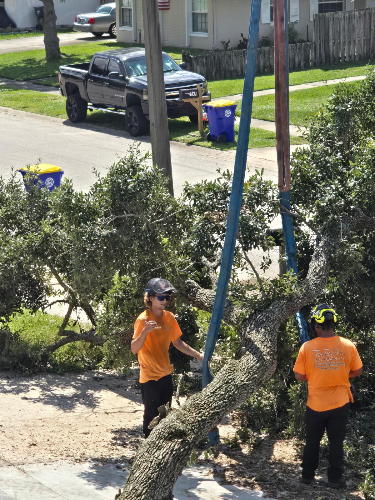 Crew members beside a rigged branch lowered to the ground