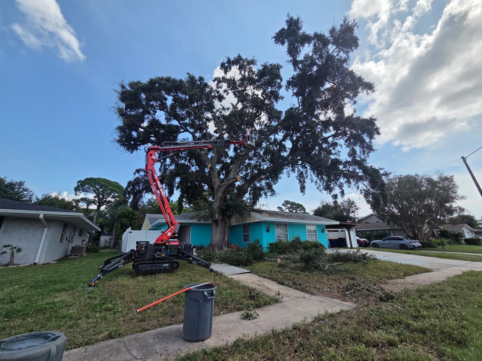 Compact spider lift reaching into a large oak canopy in a front yard