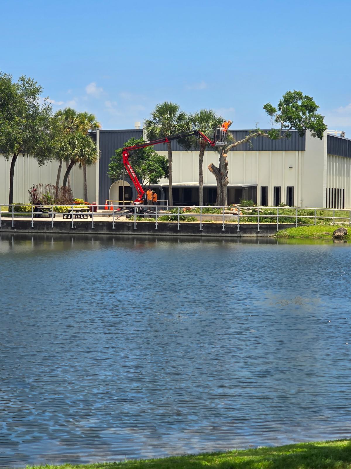 Spider lift trimming palms beside a commercial building and pond