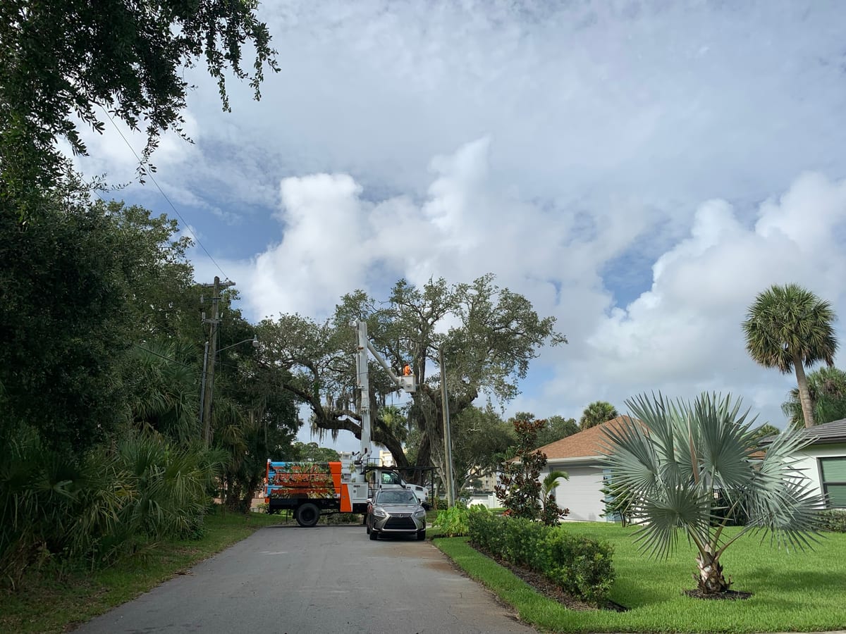 Bucket truck working a canopy along a quiet residential street