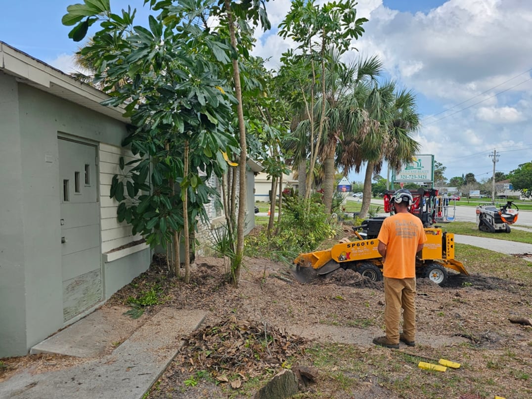 Stump grinding equipment clearing a yard