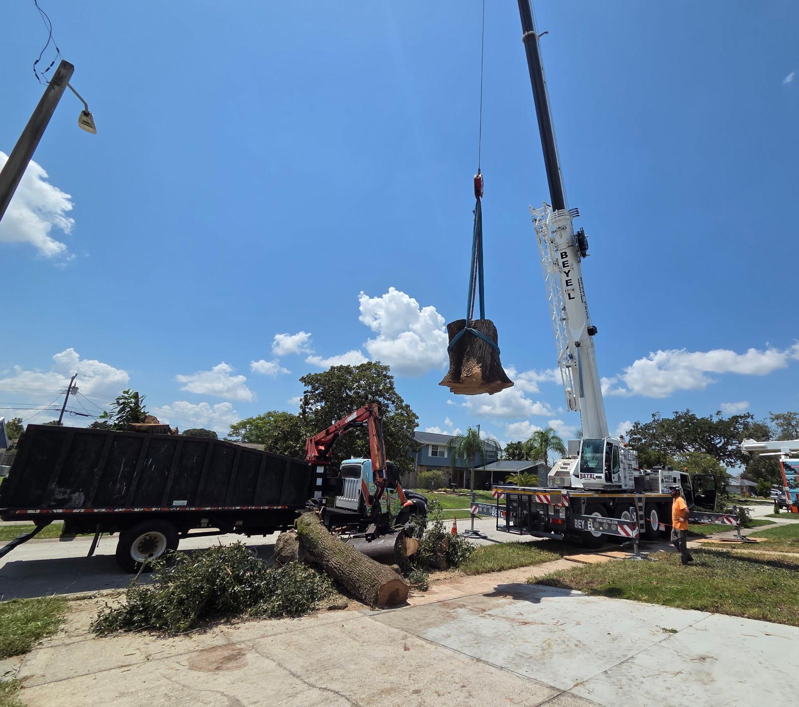Large stump section suspended by crane above a residential street