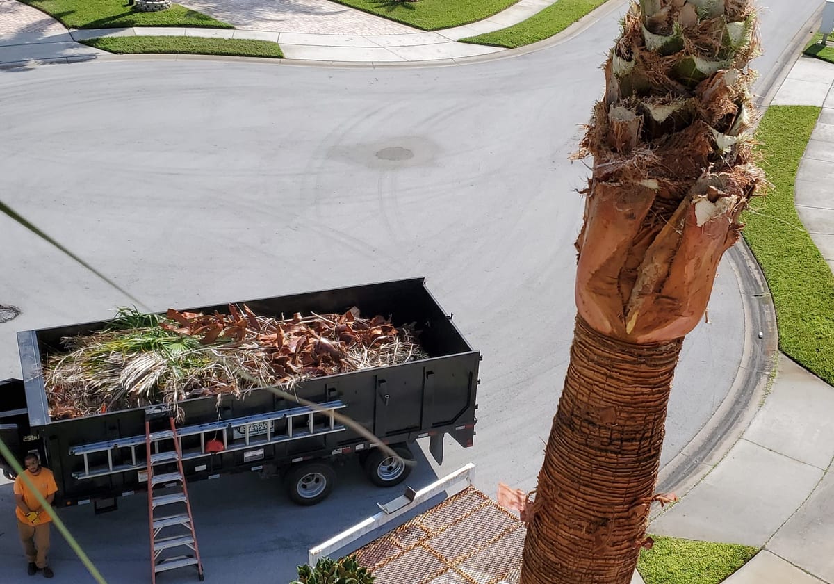 Truck bed loaded with cut branches and rope