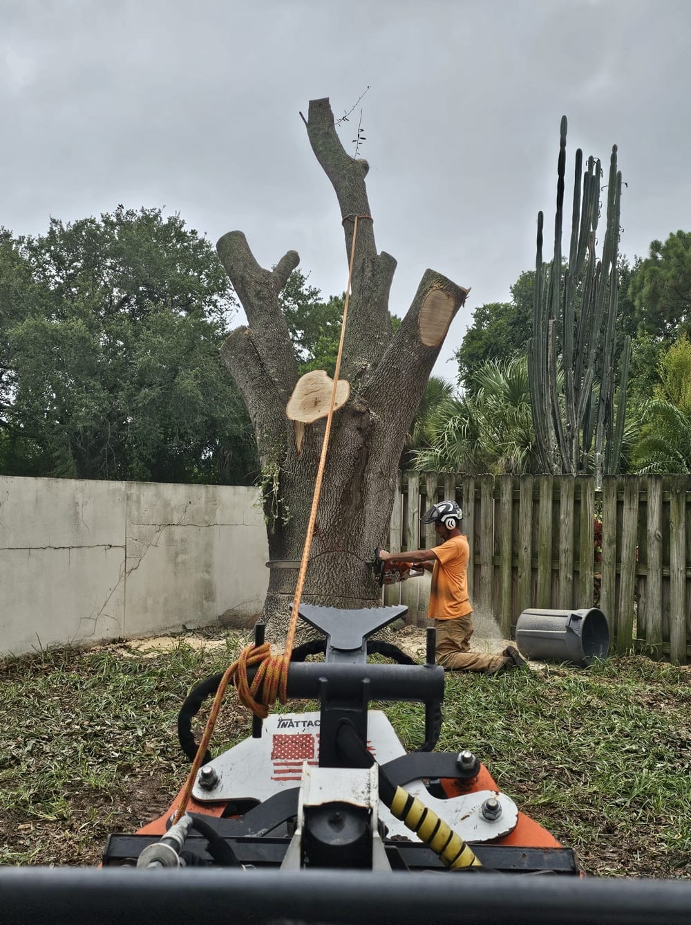 Crew member cutting a trunk base near a fence