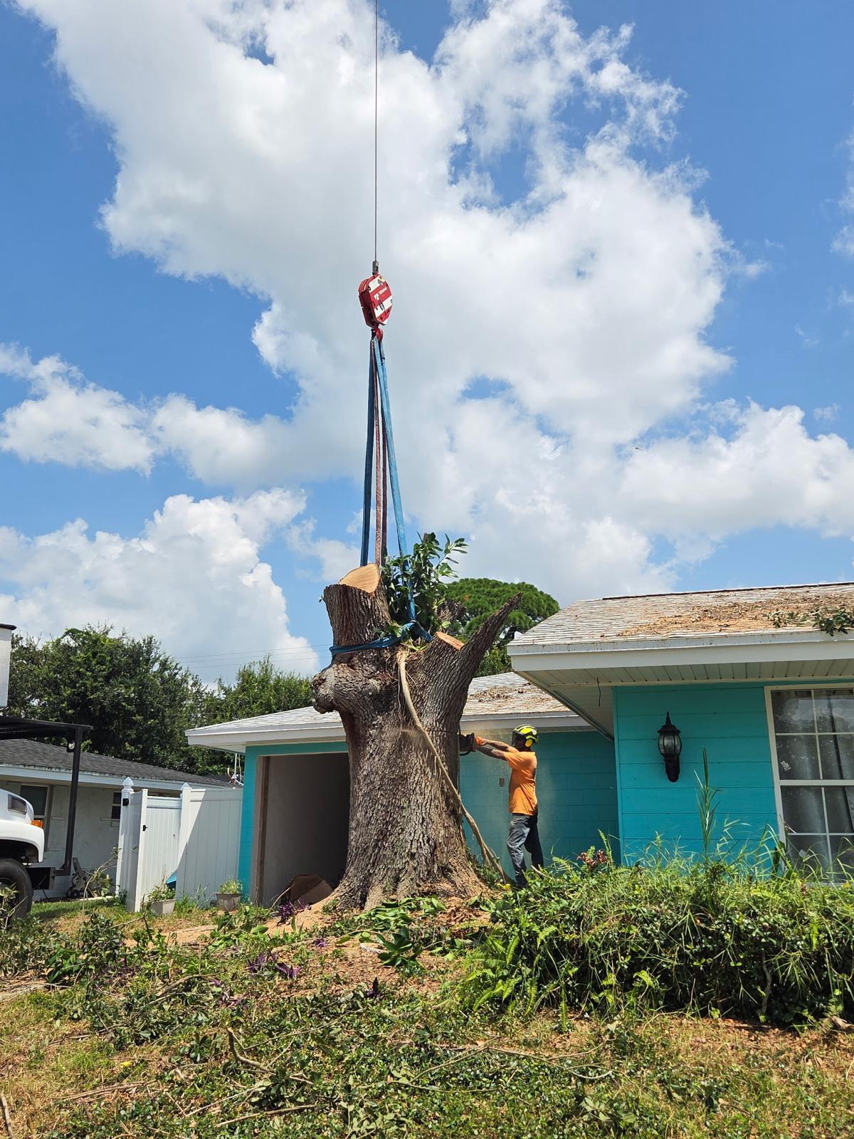 Crane lifting a large trunk section off a rooftop during a removal